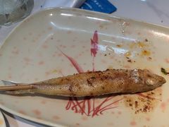 -蚝老板海鲜烧烤大排档(码头店)
