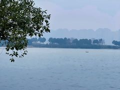 -洋湖国家湿地公园