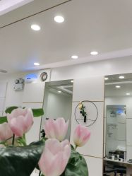 -YESIDO椰岛造型
