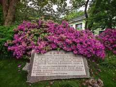 -浙江西子宾馆·牡丹厅
