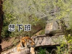-沈阳森林动物园