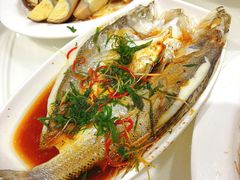 -日日香卤鹅饭店·澄海狮头鹅(澄海店)