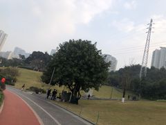 -龙头寺公园