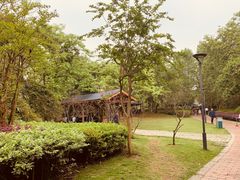 -金山公园