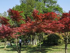 -宜兴龙背山森林公园
