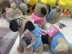 -远洋未来广场(育慧北路店)