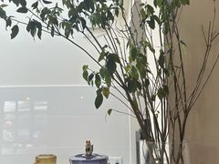 -有猫主题·治愈系猫咖(曾厝垵店)