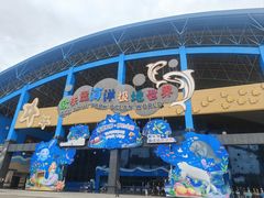 -泉城欧乐堡海洋极地世界
