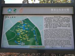 -聚龙山公园