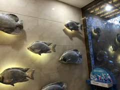 -高佳庄·海鲜酒楼(东港店)