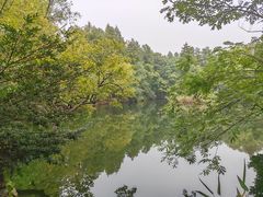 -东湖落雁景区