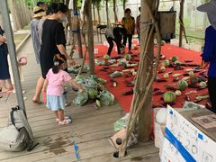 -前小桔亲子创意农场·草莓采摘·露营烧烤