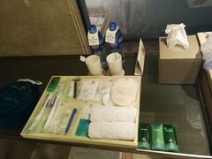 -西贡日航酒店