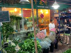 -曲阳花鸟市场(曲阳路店)