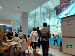 -帝企鹅自助餐厅•儿童岛•真企鹅(长隆企鹅酒店)