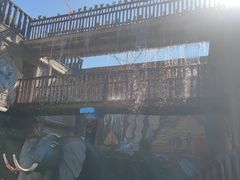 -呀路古热带植物园