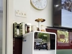 -顺强宠物诊所·狂犬免疫·夜诊·骨科(嘉定店)