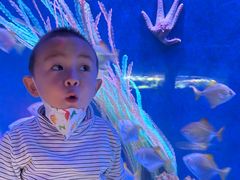 -沈阳海洋探索中心