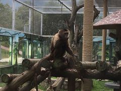 -西安秦岭野生动物园