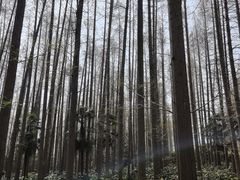 -上海怡沁园度假酒店