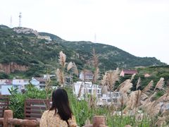 -枸杞岛