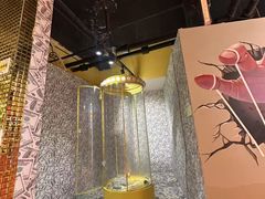 -不可思议减压馆·解压博物馆·摔碗发泄·团建定制