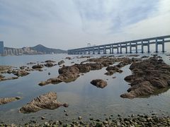 -黑石礁公园