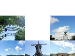 -亚龙湾国际玫瑰谷
