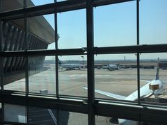 -奥利弗·雷金纳德·坦博国际机场