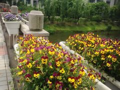 -江南大学(蠡湖校区)