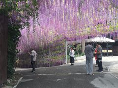 -山乡农家院(海淀区西北旺店)
