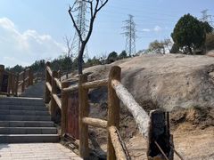 -白水寺森林公园