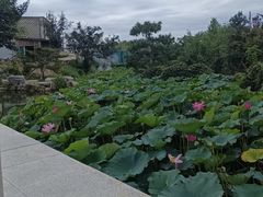 -静之湖度假区