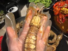 -沪小胖小龙虾(淮海中路旗舰店)