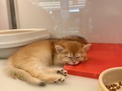 -万达广场(北京槐房店)