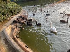 -杭州野生动物世界