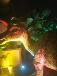 -恐龙探索乐园(磁器口店)