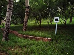 -元大都城垣遗址公园