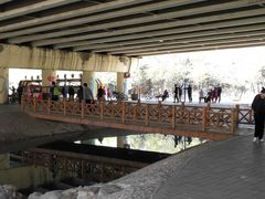 -长白岛森林公园