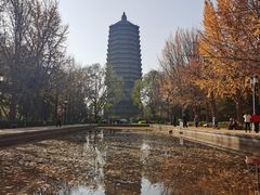 -玲珑塔公园