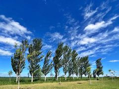 -黑龙江扎龙生态旅游区