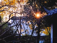 -秋霞圃