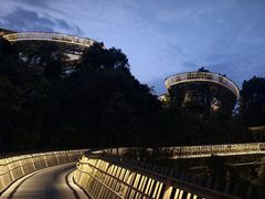 -福道