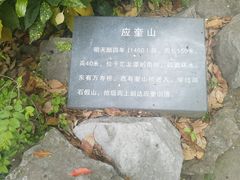 -汇龙潭