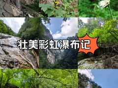 -青峰峡国家森林公园