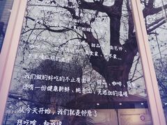 -WHEN PIGS FLY当猪飞