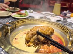 -蜀大侠火锅(森兰花园城店)