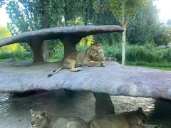 -北京野生动物园