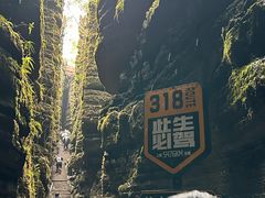 -梭布垭石林景区