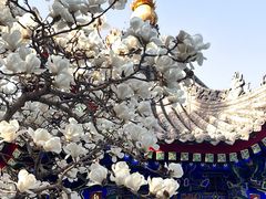 -西安市广仁寺